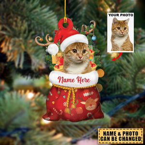 Personalized Pet Photo Santa Sack Christmas Ornament, Pet With Christmas Hat And Antlers Gift For Christmas