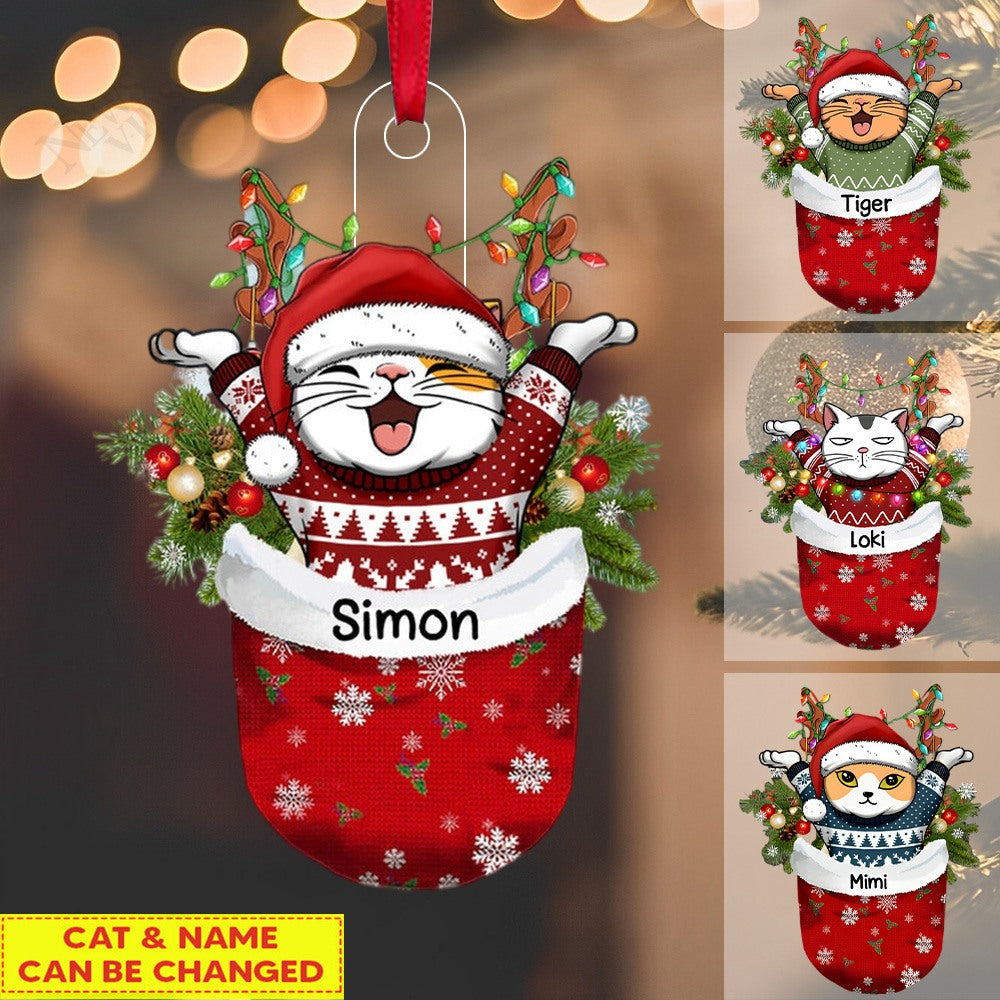 Cat In Snow Pocket Christmas Personalized Ornament