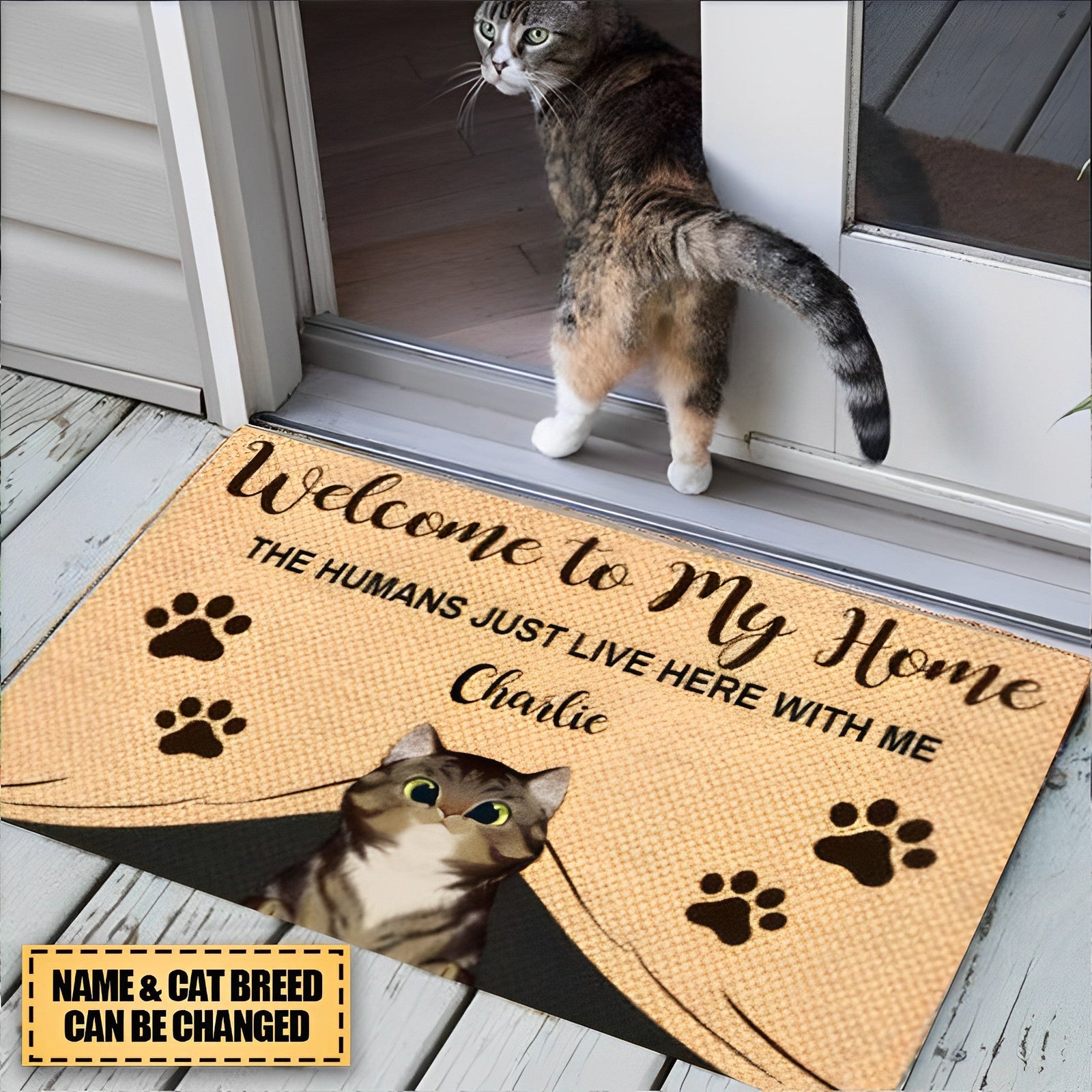 Welcome To My Home Doormat, Custom Name Doormat, Cat Doormat, Personalized Cat Welcome Mat, Home Doormat, Closing Gift, New Home