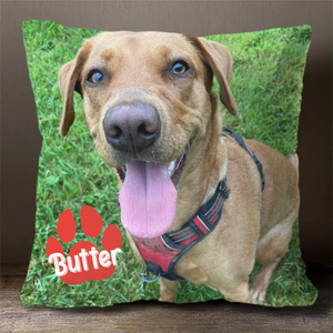 Pet's Face On A Pillow - Personalized Pillow